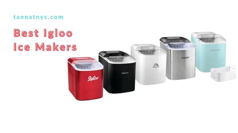 What the 5 Best Igloo Ice Makers in 2024? - Tannat Wine & Cheese