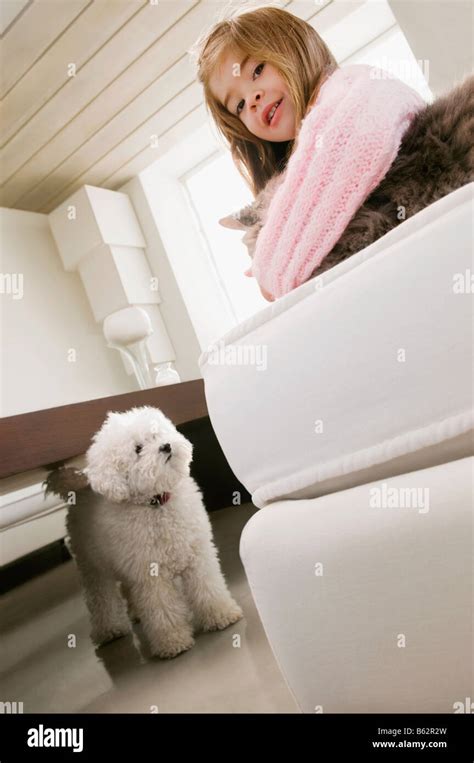 Cat under the table hi-res stock photography and images - Alamy