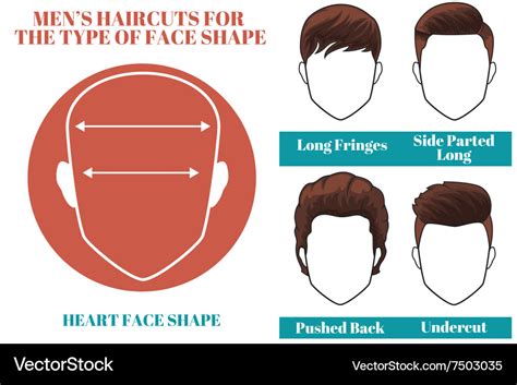 Heart face shape Royalty Free Vector Image - VectorStock