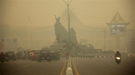 Gedung di Pekanbaru 'Hilang Ditelan' Kabut Asap - News Liputan6.com