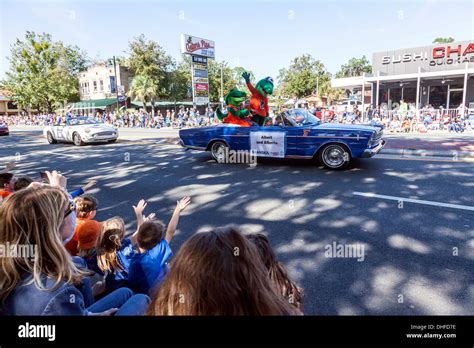 Albert and alberta gator hi-res stock photography and images - Alamy