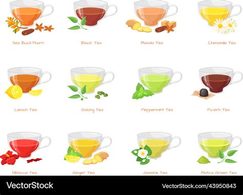 Herbal Tea Types Different Type Green Black Teas Vector, 40% OFF