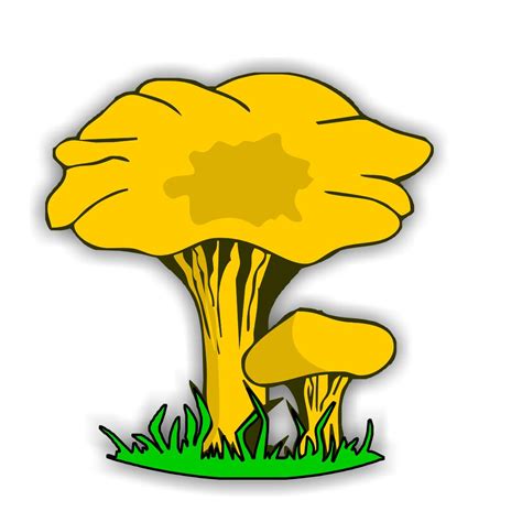 Fungi Clipart - ClipArt Best