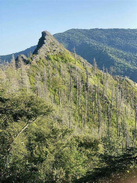 Photos of Chimney Tops Trail - Tennessee | AllTrails