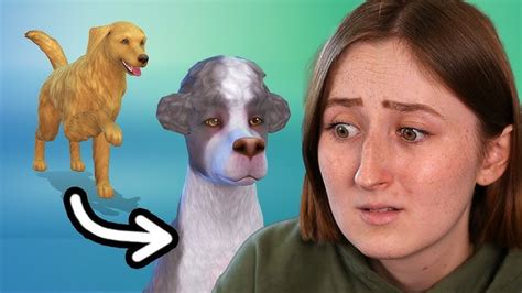 Is Cats And Dogs Expansion Good For Sims 4? Find Out Now!