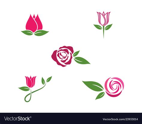 Rose flower logo template Royalty Free Vector Image