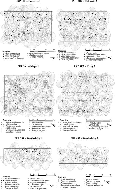 Horizontal structure of tree layer (DBH ? 4 cm-large symbol) and ...