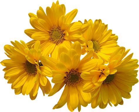 Download Yellow Flowers Bouquet Transparent Image HQ PNG Image | FreePNGImg