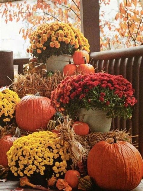 Mums & Pumpkins Pictures, Photos, and Images for Facebook, Tumblr ...