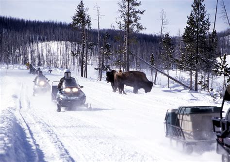 What Should You Know About Snowmobiling In Yellowstone? • Travel Tips