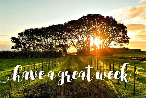 Great Week, Great, Trees, Fields, Week, Nature, HD wallpaper | Peakpx