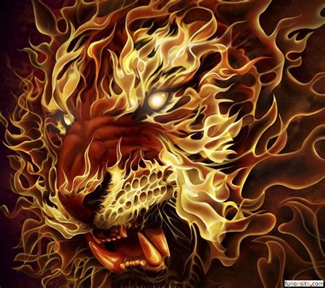 Fire Tiger Wallpapers - 4k, HD Fire Tiger Backgrounds on WallpaperBat