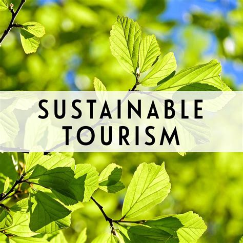 Sustainable tourism guides and resources to help you reduce the ...