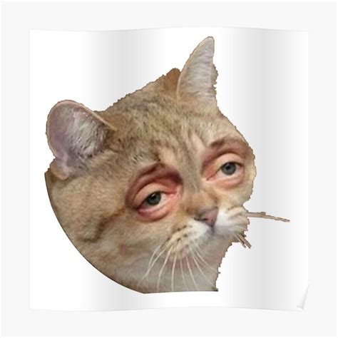 "My Funny Cat Meme" Poster for Sale by mo91 | Redbubble