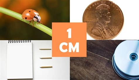 9 Things That Are About 1 Centimeter (cm) Long – dimensionofstuff.com