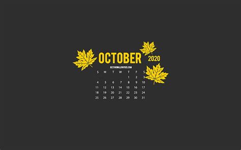 2020 October Calendar, minimalism style, gray background, October 2020 ...