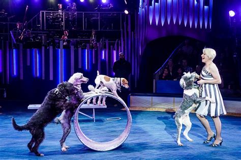 Big Apple Circus Will Make You Love the Circus Again - All Things Fadra