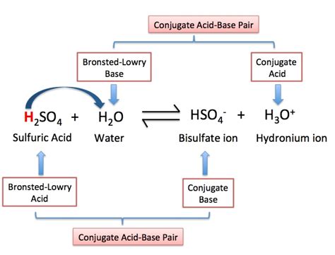 18 Enigmatic Facts About Bronsted-Lowry Acid-Base Theory - Facts.net