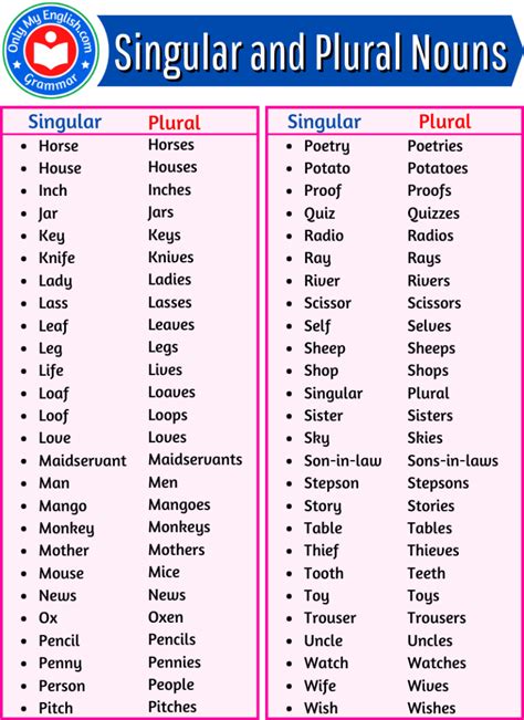 A Huge List of Singular and Plural Nouns words » Onlymyenglish.com