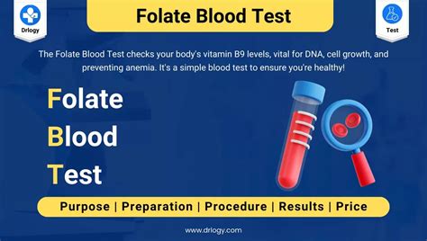 Folate Blood Test: Meaning, Price, Procedure & Results - Drlogy