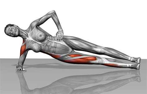 Side Plank Exercise by MedicalRF.com