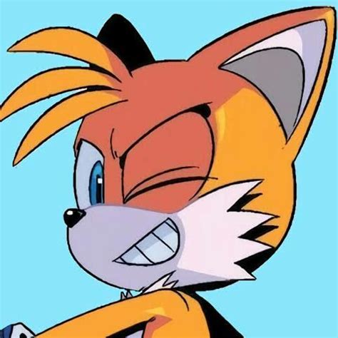 Pin by Sᴏɴɪᴄ ｲʜᴇ ℋᴇᴅɢᴇʜᴏɢ on ₊·Sᴏɴɪᴄ ɪᴄᴏɴs ፡ | Hedgehog art, Sonic art ...