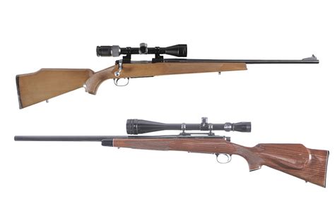 Best .22-250 Rifle Buyer’s Guide (2023) | True Republican