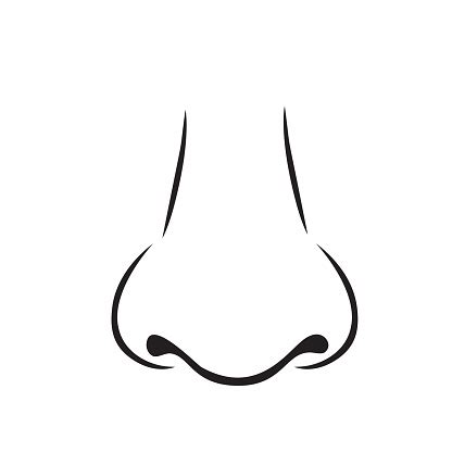 Human Nose Outline Vector Icon Stock Illustration - Download Image Now ...