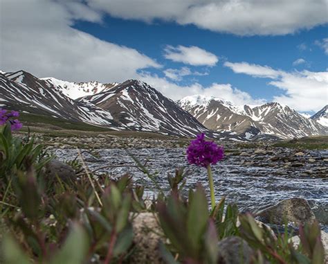 National Parks of Mongolia | Travel to Mongolian National Parks