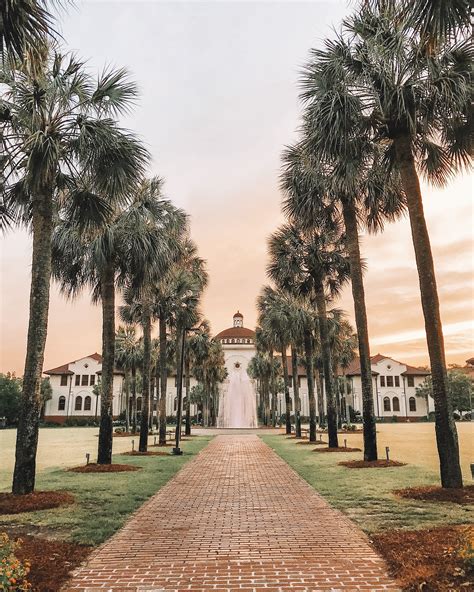 Top 5 Instagram-Worthy Places at #VState – Valdosta State University ...