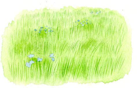 How to Paint Grass in Watercolor: 3 Simple Methods | Watercolor ...