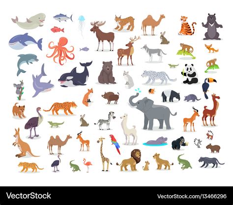 Big set of world animal species cartoon Royalty Free Vector