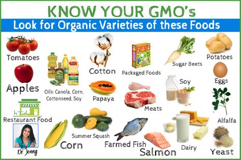 Toxicity of Non-GMOs - AgeVital.com