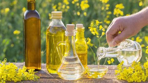 How is Canola Oil Made? - Canadian Food Focus