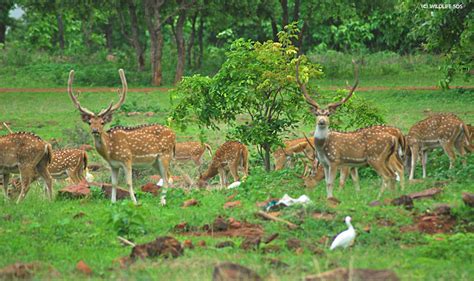 Our #HabitatConservation project in the Ramdurg valley in Karnataka ...