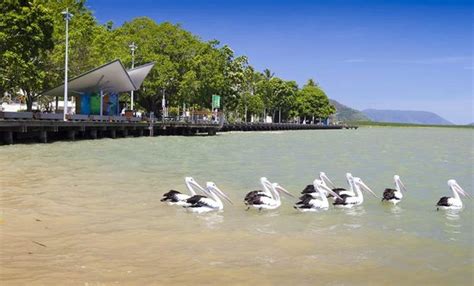 Esplanade Boardwalk (Cairns): UPDATED 2021 All You Need to Know Before ...