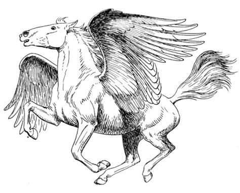 Cal cu aripi din mitologie - Pegasus