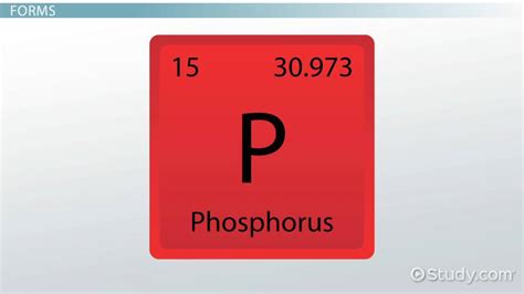 Allotropes of Phosphorus: Forms, Uses & Examples - Video & Lesson ...