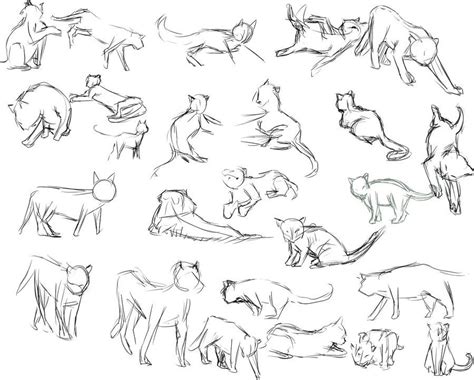 Pin by Mary Sargent on cats | Cat poses drawing, Cat drawing, Cat ...