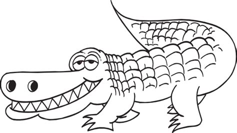 Alligator black and white white alligator outline clip art at vector ...