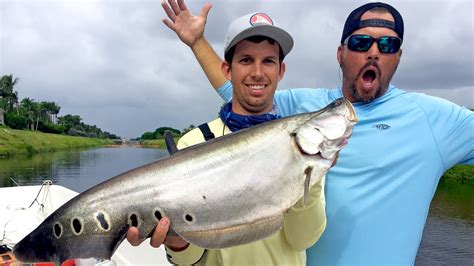 Fishing for Clown Knife Fish in Florida - ft. 1Rod1ReelFishing & Scott ...