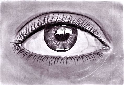 Realistic Open Eye drawing