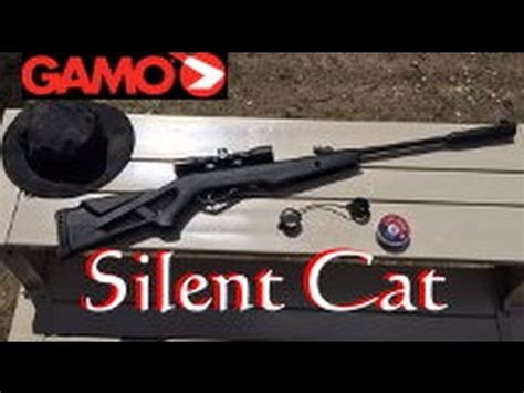 Gamo Silent Cat .177 cal. Air Rifle with 4x32mm Scope - YouTube