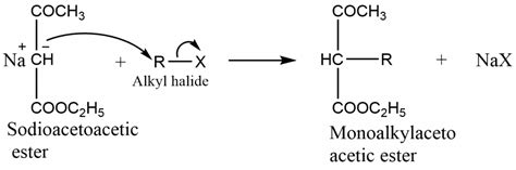 Acetoacetic ester synthesis; Mechanism and Application - Chemistry Notes