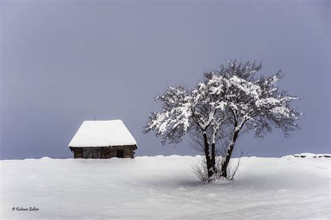 Winter in Maramures