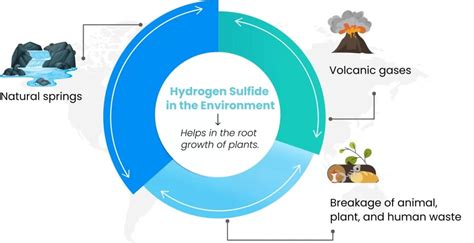 What is Hydrogen Sulfide (H2S)? Sources, Effects, Measures