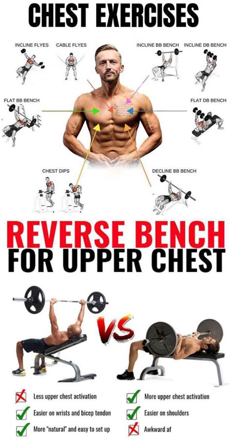 Interested in finding more about increase bench press? Then read on # ...