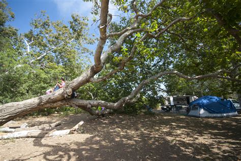 Sycamore Canyon Campground - Point Mugu State Park - camping in California