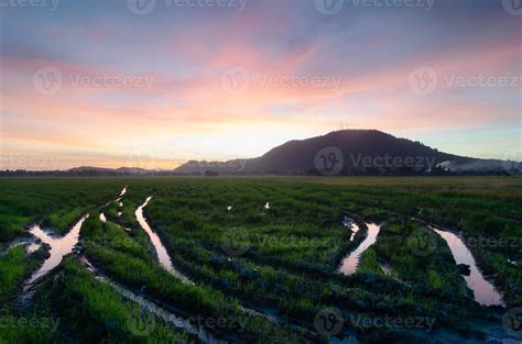 Morning dramatic sunrise cloud at paddy field 6589252 Stock Photo at ...