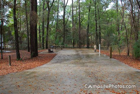 Suwannee River State Park - Campsite Photos, Info & Reservations